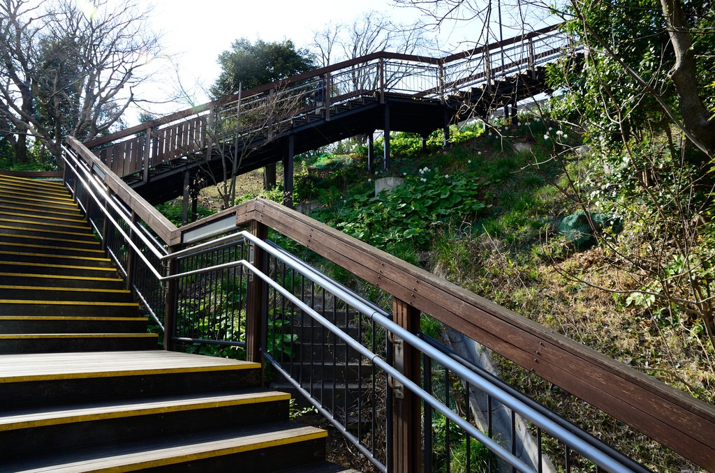 Wooden Steps over Old Steps, de ykanazawa1999, en Flickr