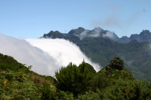 Nieblas en Madeira